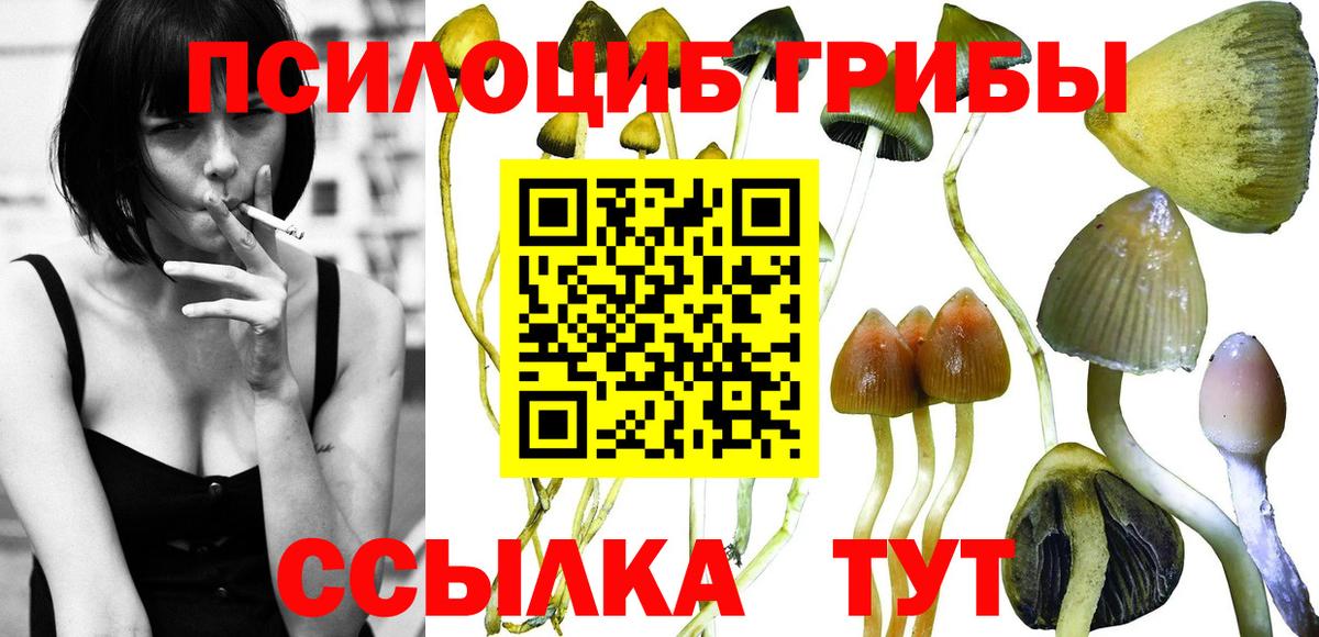 Галлюциногенные грибы мицелий Кингисепп